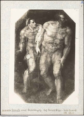 Vorderseite von bh049013_recto