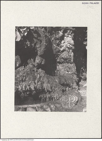 Vorderseite von Alinari [http://creativecommons.org/publicdomain/mark/1.0/] Thronende Madonna zwischen den heiligen Georg und Lucia - Detail: musizierender Engel, bh049212_recto. Foto.