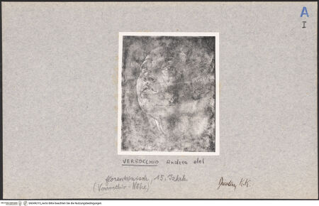 Vorderseite von bh049215_recto