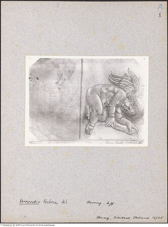 Vorderseite von bh049217_recto