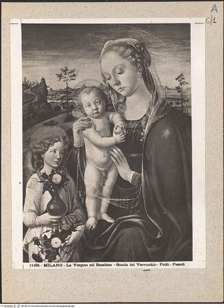 Vorderseite von bh049219_recto