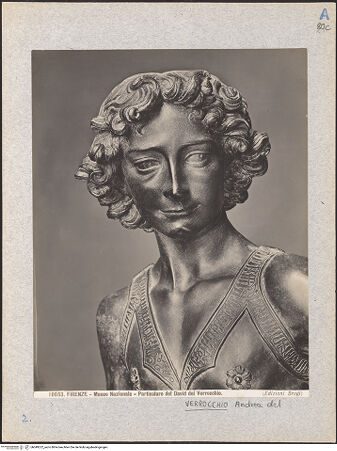 Vorderseite von bh049222_recto