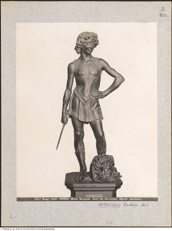 Vorderseite von bh049223_recto