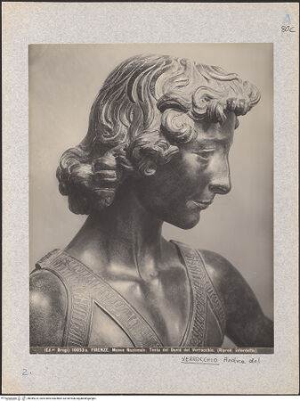 Vorderseite von bh049224_recto