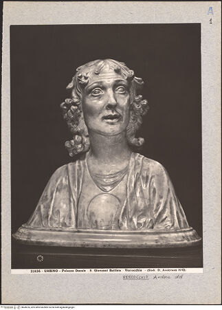 Vorderseite von bh049226_recto