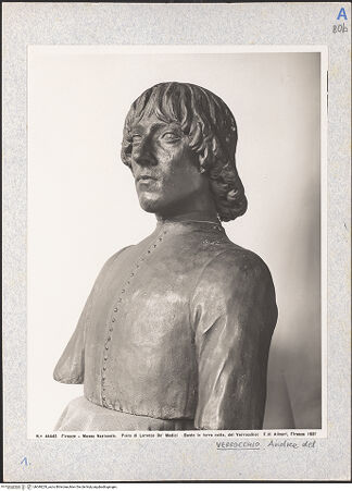 Vorderseite von bh049229_recto