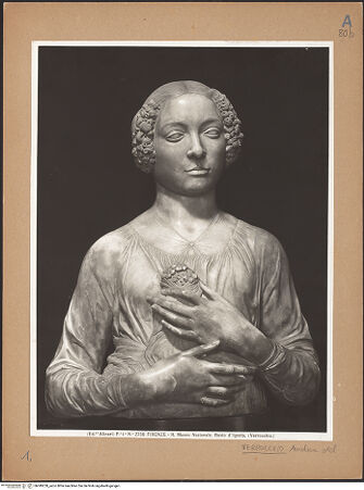 Vorderseite von bh049230_recto