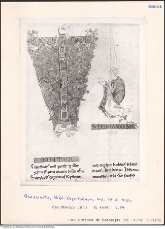 Vorderseite von bh049349_recto