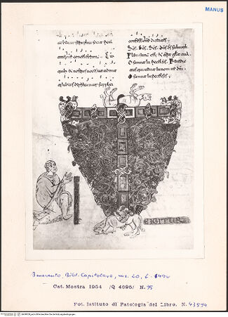 Vorderseite von bh049350_recto