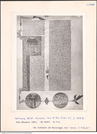 Vorderseite von bh049422_recto