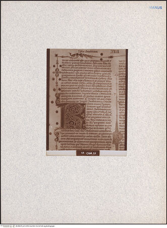 Vorderseite von bh049429_recto