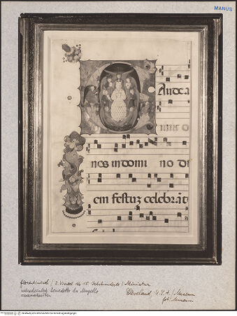 Vorderseite von bh049449_recto