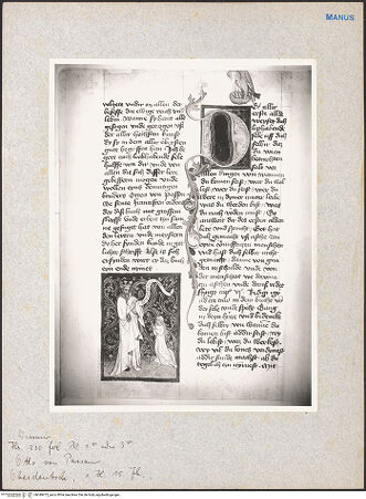 Vorderseite von bh049473_recto