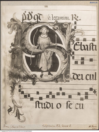 Vorderseite von bh049493_recto