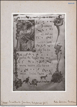 Vorderseite von bh049506_recto