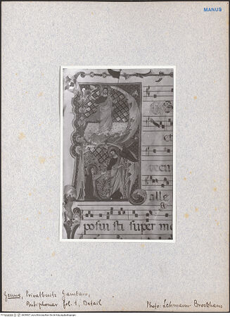 Vorderseite von bh049507_recto