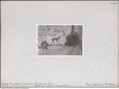 Vorderseite von bh049510_recto