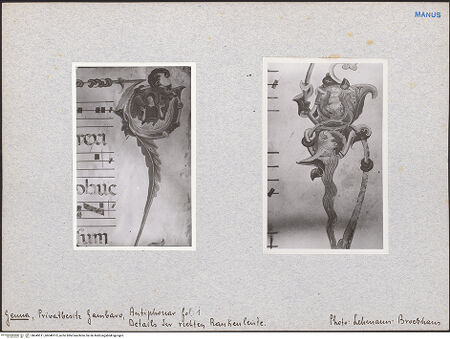 Vorderseite von bh049511_bh049512_recto