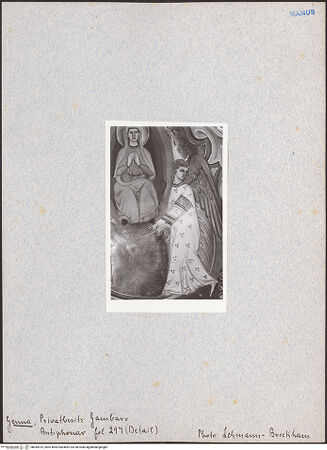 Vorderseite von bh049519_recto