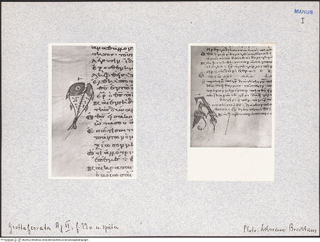 Vorderseite von bh049532_bh049533_recto