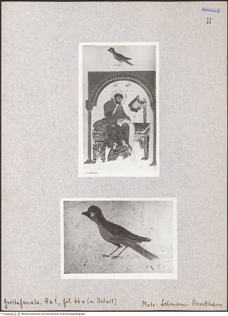 Vorderseite von bh049535_bh049536_recto