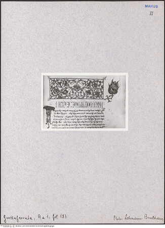 Vorderseite von bh049547_recto