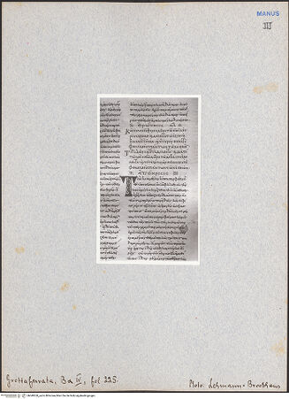 Vorderseite von bh049550_recto