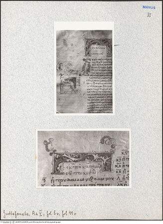 Vorderseite von bh049553_bh049554_recto