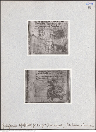 Vorderseite von bh049569_bh049570_recto