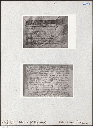 Vorderseite von bh049575_bh049576_recto