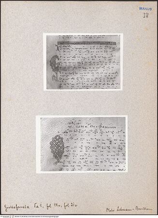 Vorderseite von bh049579_bh049580_recto