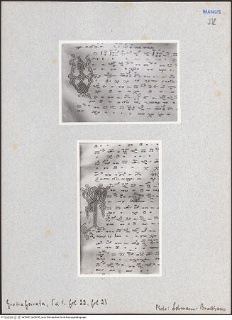 Vorderseite von bh049581_bh049582_recto