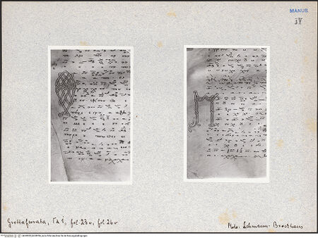 Vorderseite von bh049583_bh049584_recto