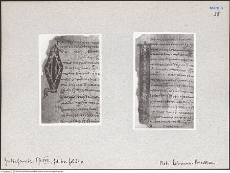 Vorderseite von bh049599_bh049600_recto