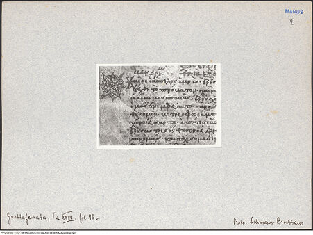 Vorderseite von bh049602_recto