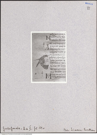 Vorderseite von bh049626_recto