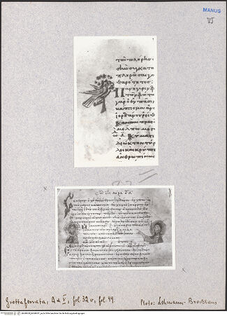 Vorderseite von bh049630_bh049631_recto