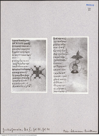 Vorderseite von bh049636_bh049367_recto