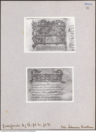 Vorderseite von bh049646_bh049647_recto