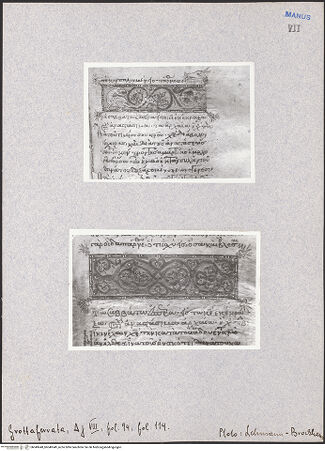 Vorderseite von bh049648_bh049649_recto