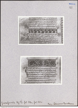 Vorderseite von bh049650_bh049651_recto