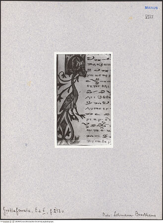 Vorderseite von bh049654_recto