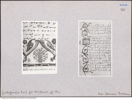 Vorderseite von bh049657_bh049658_recto