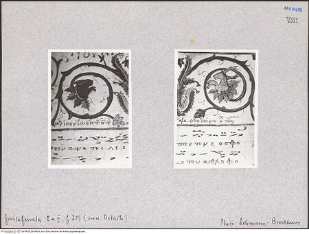 Vorderseite von bh049659_bh049660_recto