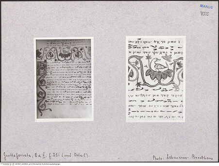 Vorderseite von bh049661_bh049662_recto