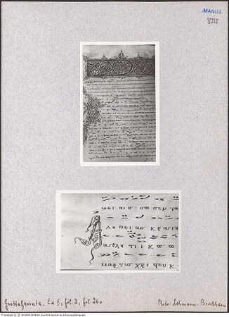 Vorderseite von bh049663_bh049664_recto