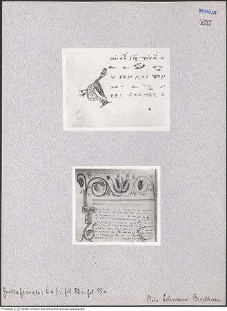 Vorderseite von bh049667_bh049668_recto