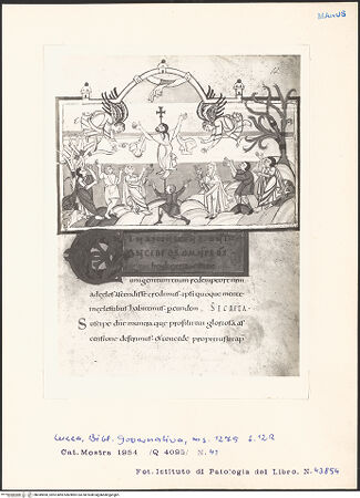 Vorderseite von bh049890_recto