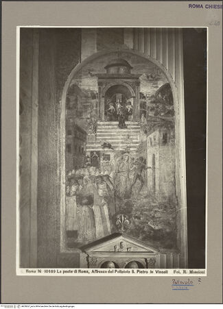 Vorderseite von bh050367_recto