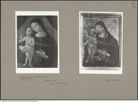 Vorderseite von bh050389_bh050390_recto